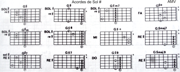 Acordes de Sol Sostenido para Guitarra – Maestra de Música